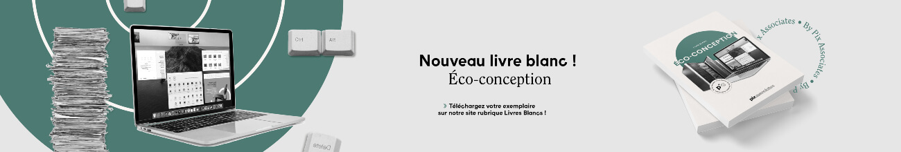 Capture du rendu du composant Pix - bannière livre blanc