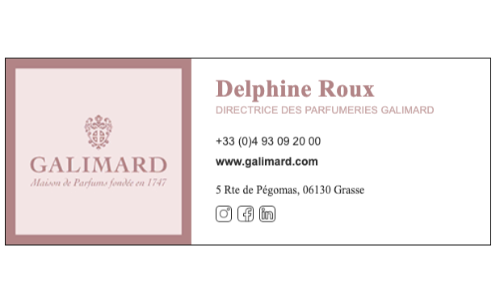 Capture du rendu du composant Galimard - 2024