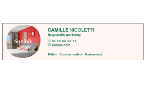 Capture du rendu du composant Soniho - 2024