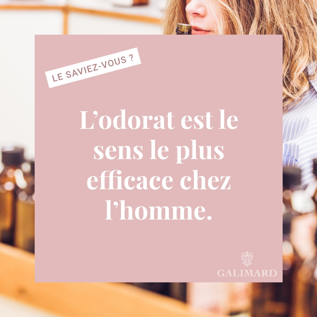 Capture du rendu du composant Galimard - Le saviez-vous