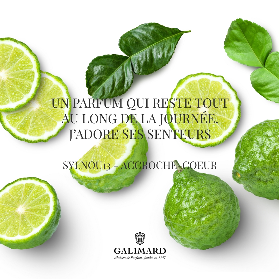 Capture du rendu du composant Galimard - Avis clients