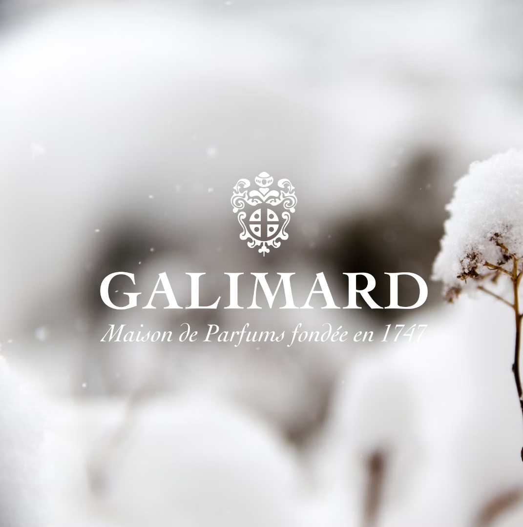 Capture du rendu du composant Galimard - Template logotype