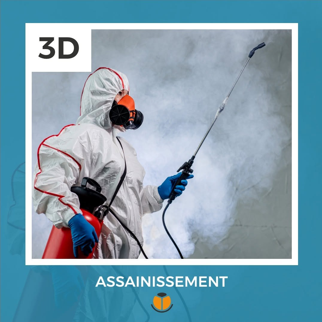 Capture du rendu du composant Algora Environnement - Template assainissement