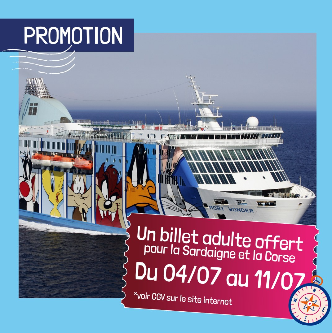 Capture du rendu du composant Moby Lines - Promotion