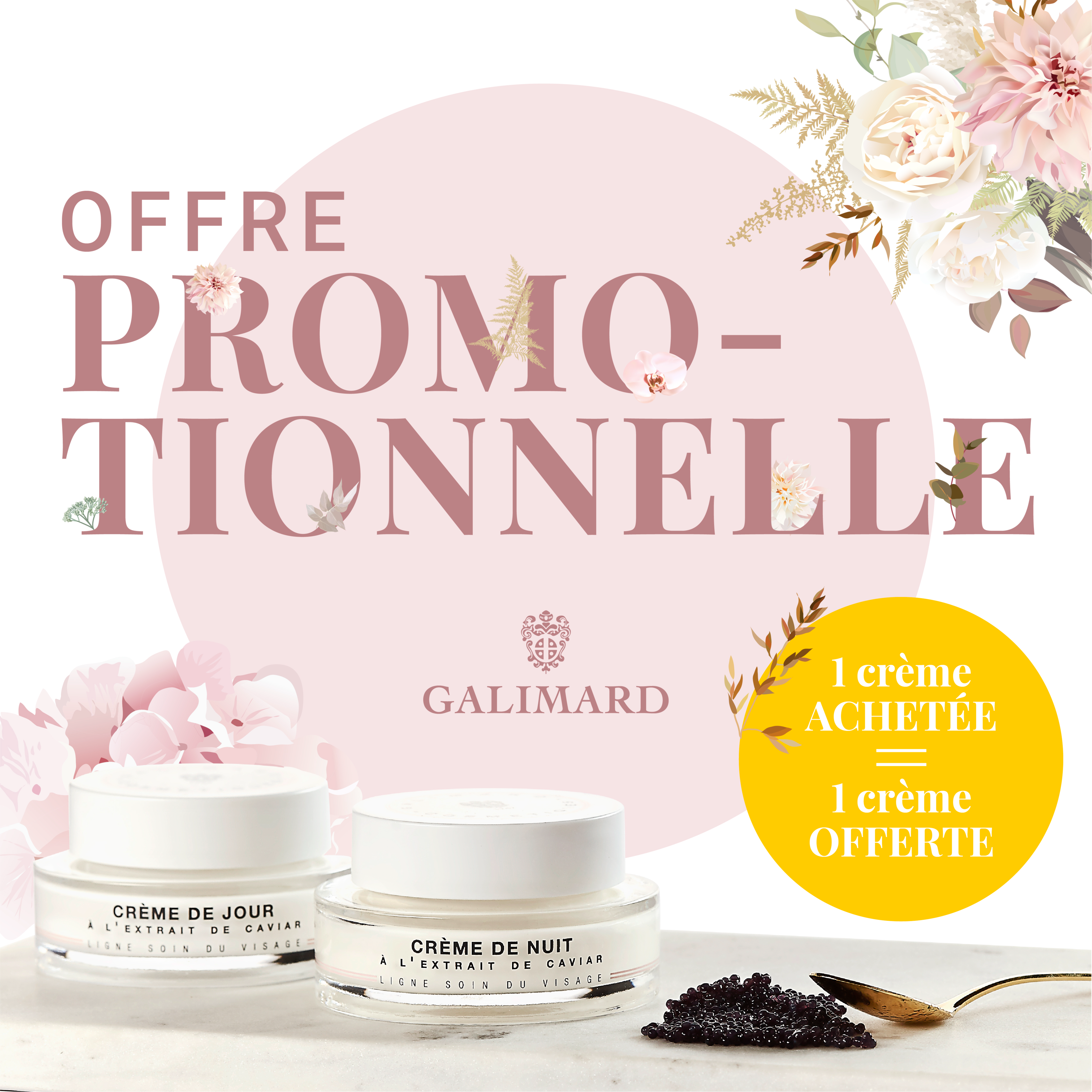 Capture du rendu du composant Galimard - Offre promotionnelle