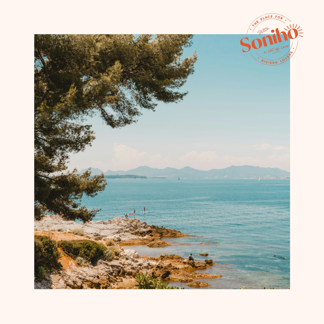 Capture du rendu du composant Soniho - Inspirations méditerranéennes